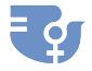 CPLP prepara participação na 67ª Comissão ONU sobre o Estatuto da Mulher