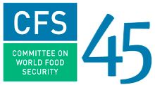 Secretária Executiva participa em reuniões para Segurança Alimentar Mundial
