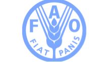 CPLP reúne com FAO